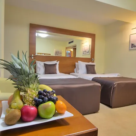 מלון Hotel Podgorica