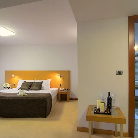 מלון Hotel Podgorica 4*