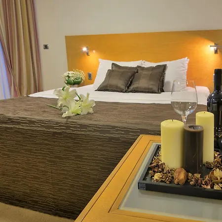 Hotel Podgorica 4* Подгориця