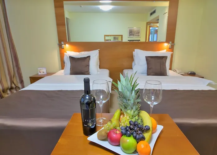 Hotel Podgorica 4*